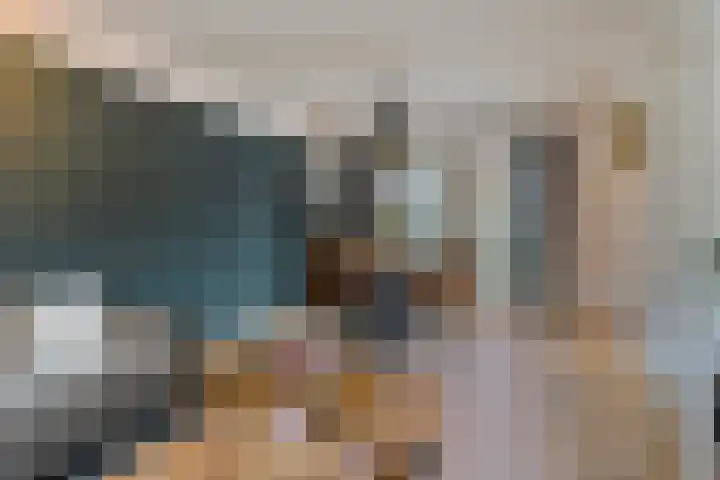 Holberg 10 Veldhoven thumbnail 12