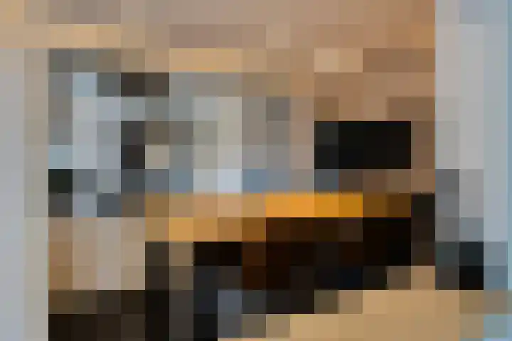 Holberg 10 Veldhoven thumbnail 15
