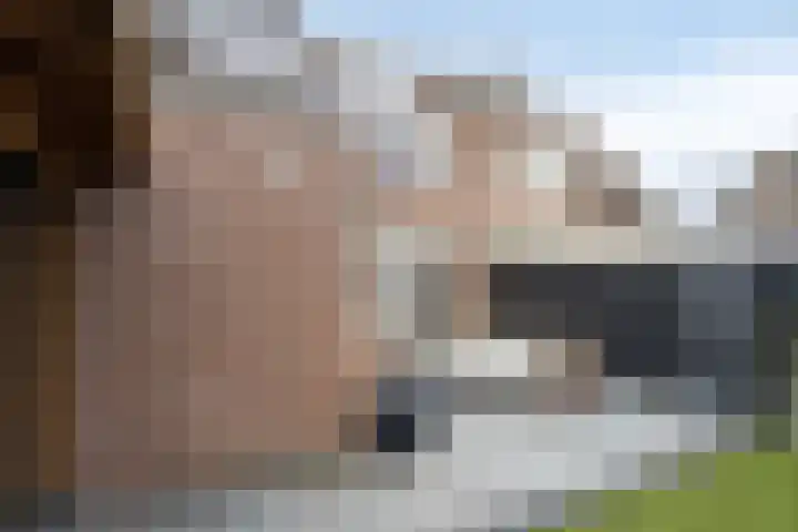 Holberg 10 Veldhoven thumbnail 38