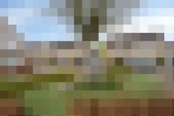 Holberg 10 Veldhoven thumbnail 43