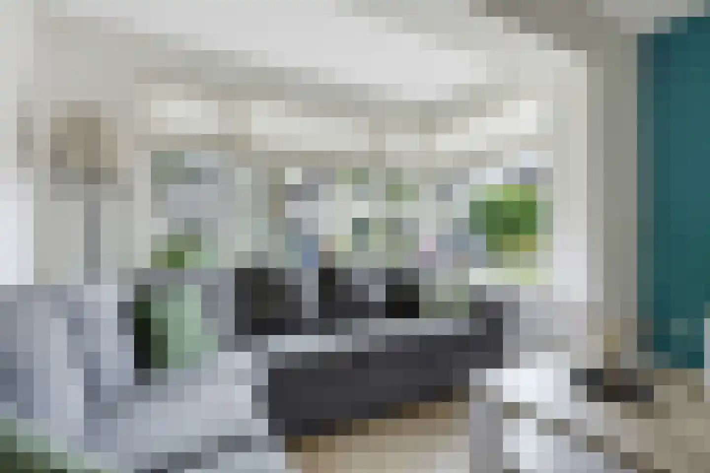 Holberg 4 Veldhoven thumbnail 11