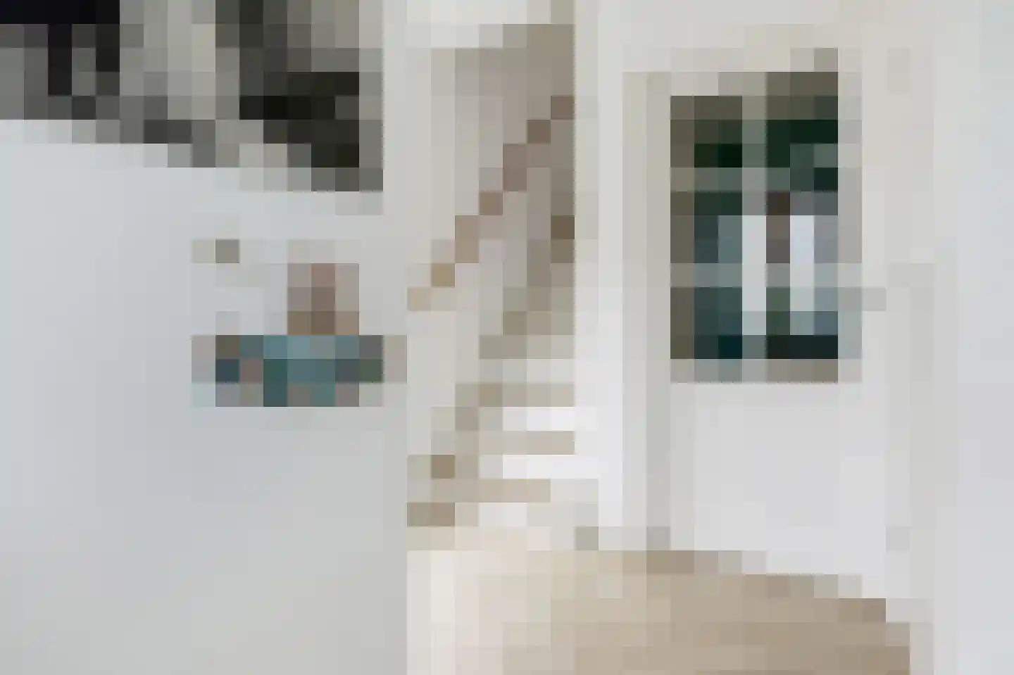 Holberg 4 Veldhoven thumbnail 7