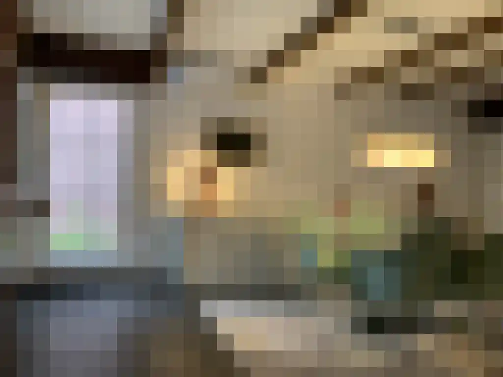 Holdaal 21 Maastricht thumbnail 4