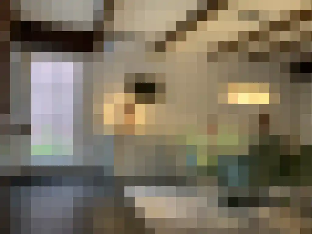 Holdaal 21 Maastricht thumbnail 4