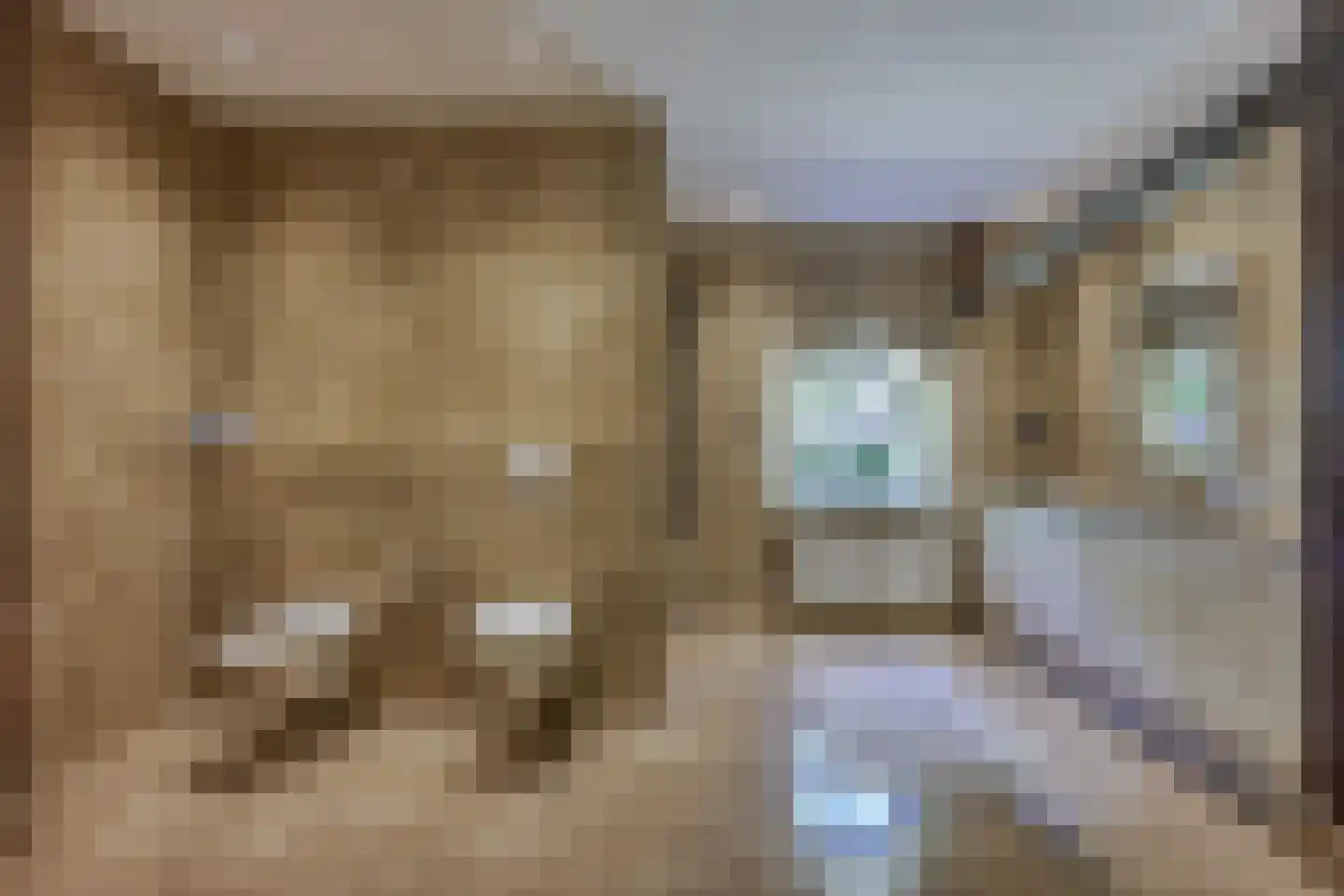 Holderbergsestraat 2 Kruisland thumbnail 10