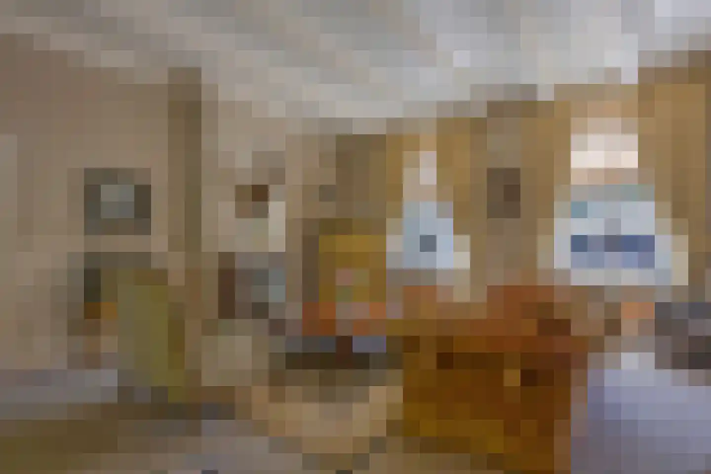 Holderbergsestraat 2 Kruisland thumbnail 13