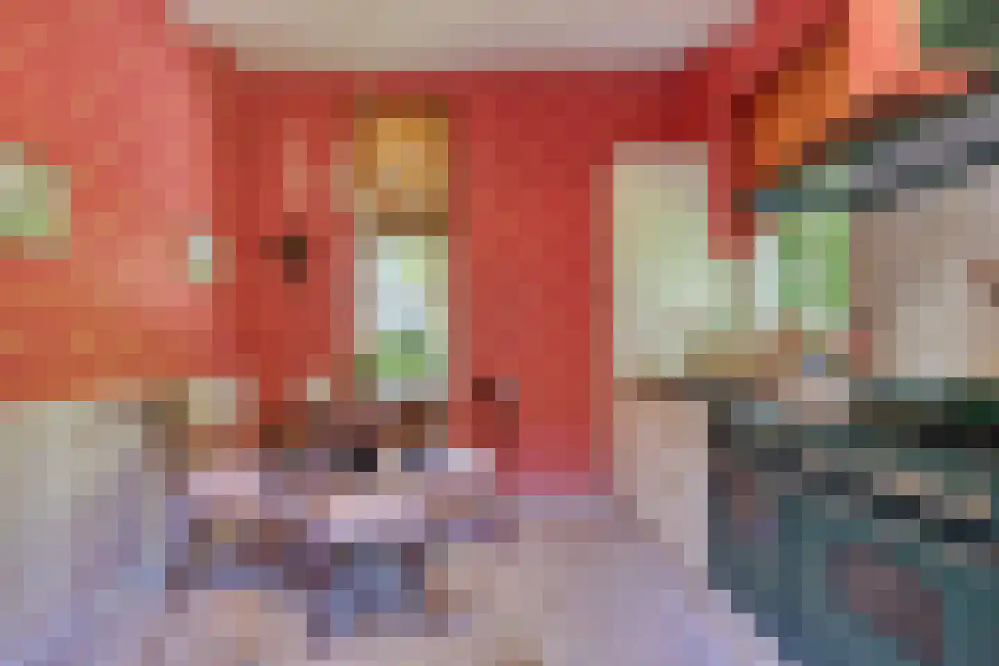 Holderbergsestraat 2 Kruisland thumbnail 14