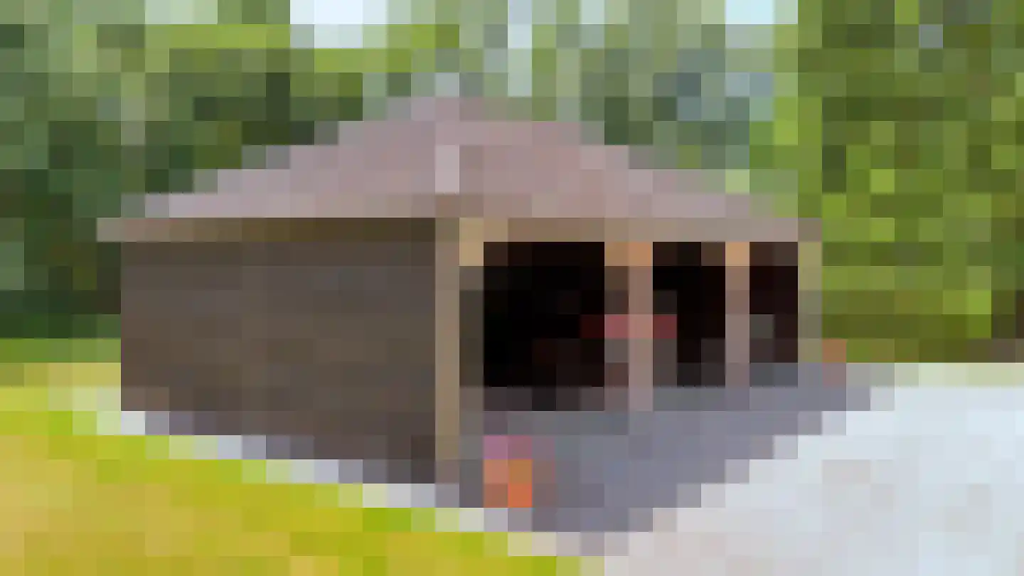 Holderbergsestraat 2 Kruisland thumbnail 18