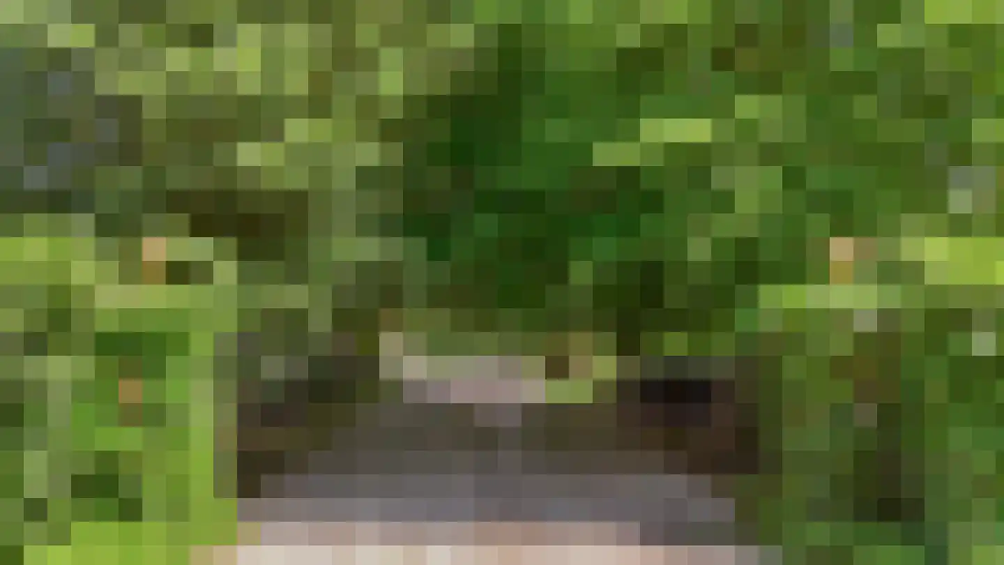 Holderbergsestraat 2 Kruisland thumbnail 20