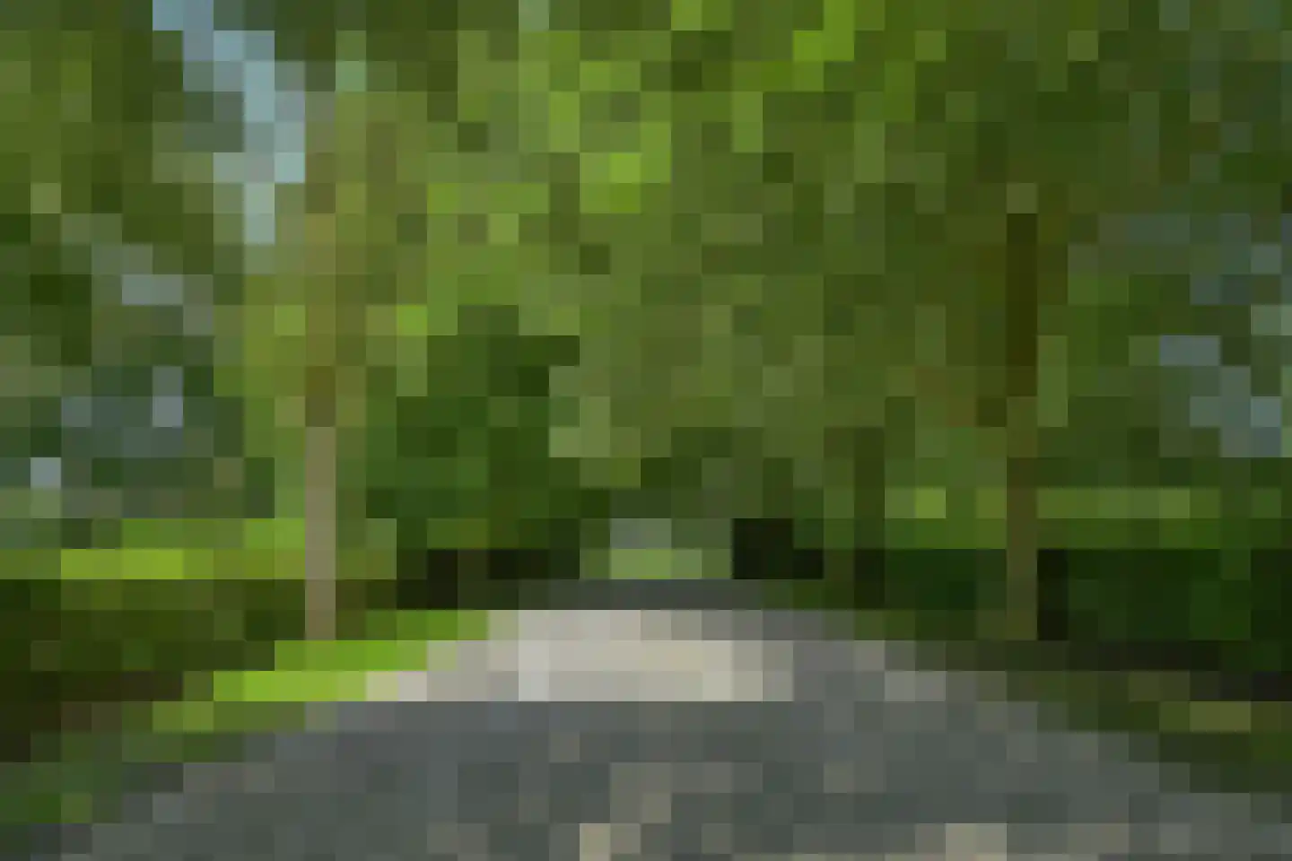 Holderbergsestraat 2 Kruisland thumbnail 21