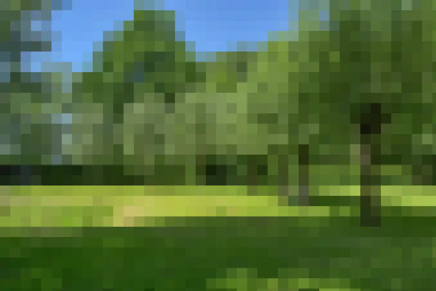 Holderbergsestraat 2 Kruisland thumbnail 22