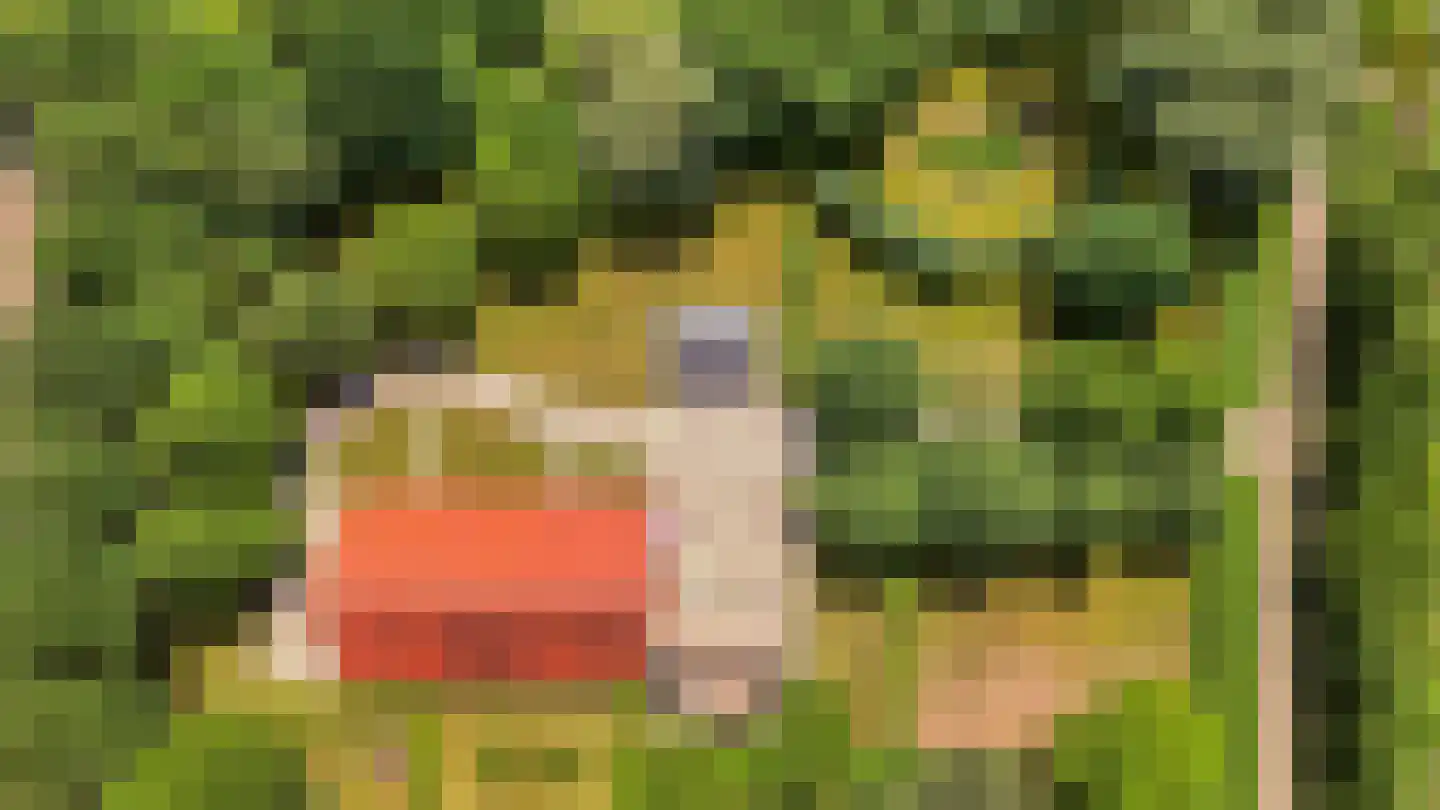 Holderbergsestraat 2 Kruisland thumbnail 23
