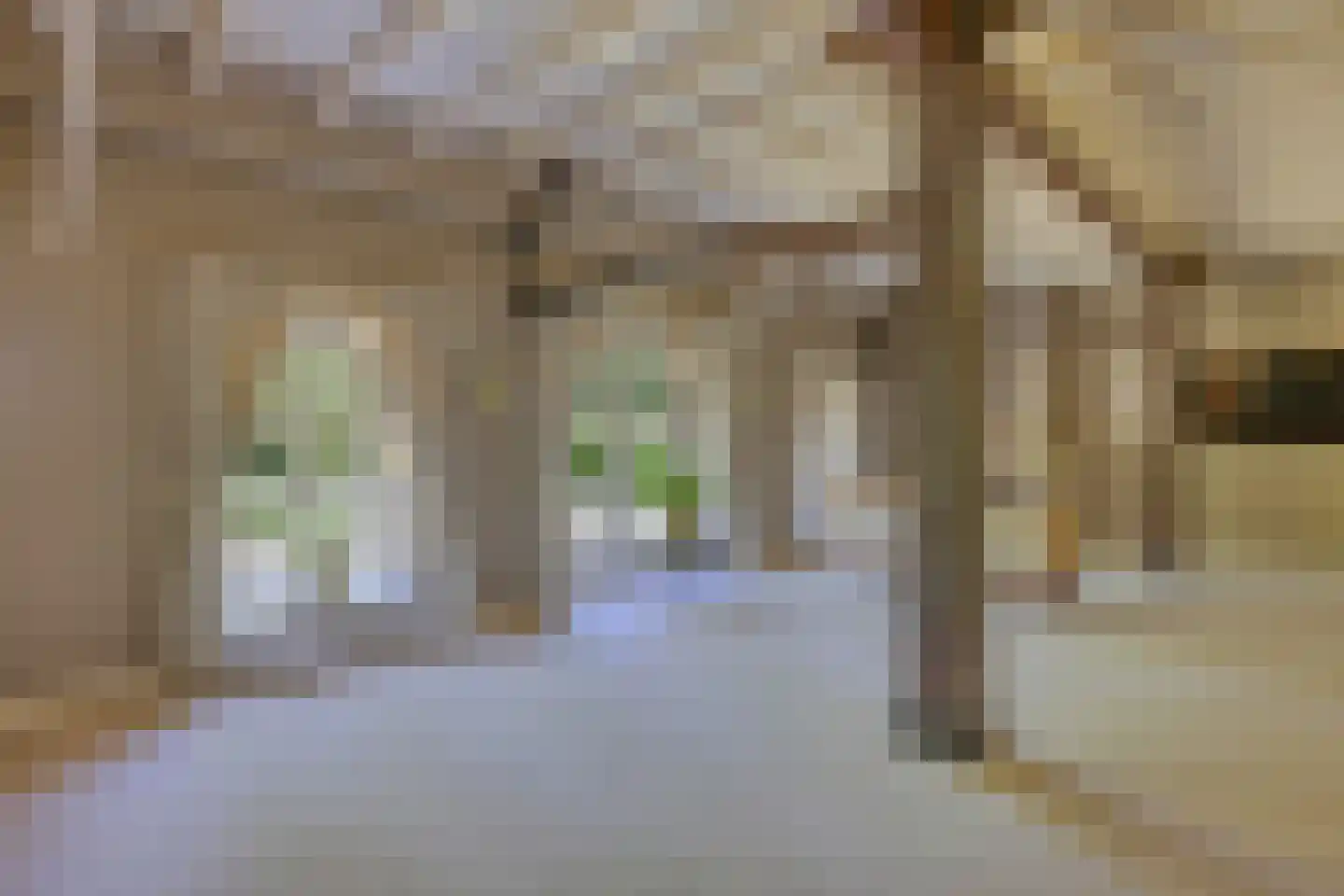 Holderbergsestraat 2 Kruisland thumbnail 7