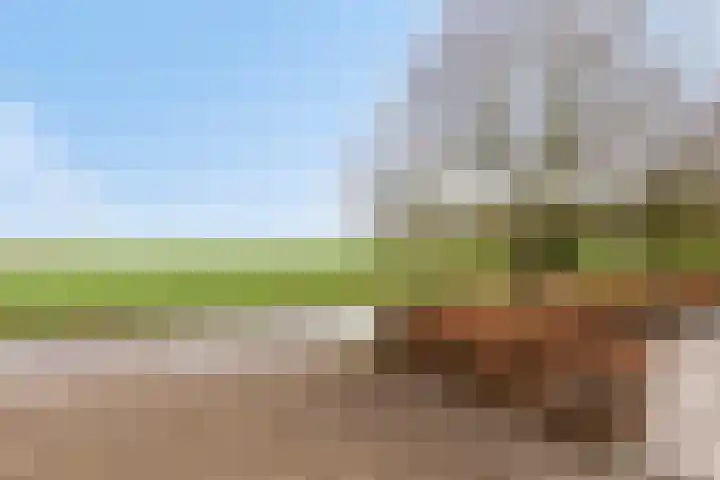 Holderbergsestraat 5 Kruisland thumbnail 100
