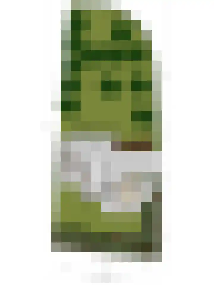 Holderbergsestraat 5 Kruisland thumbnail 101