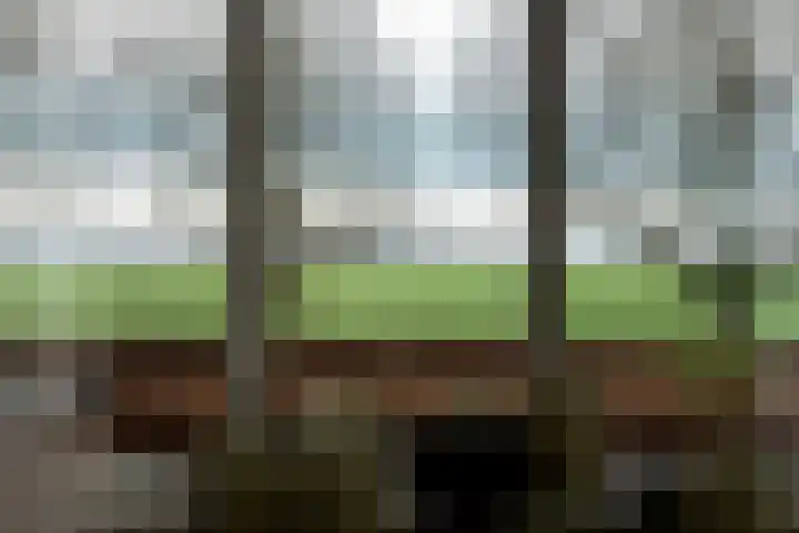 Holderbergsestraat 5 Kruisland thumbnail 12