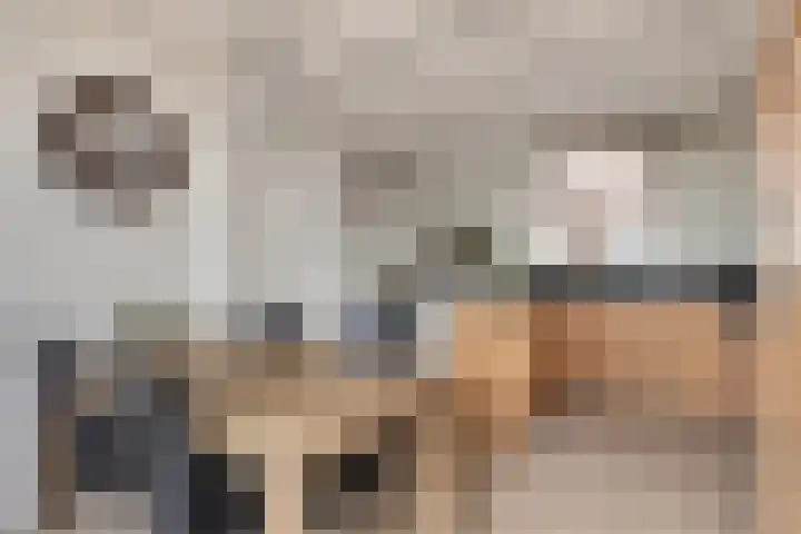 Holderbergsestraat 5 Kruisland thumbnail 17