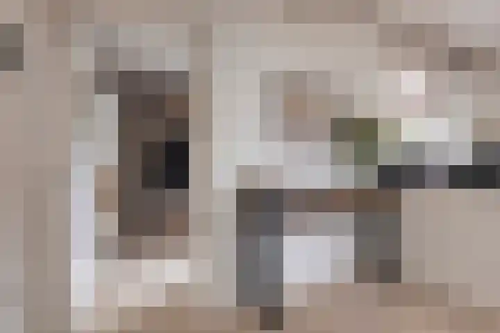 Holderbergsestraat 5 Kruisland thumbnail 22