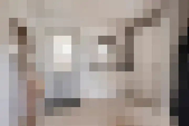 Holderbergsestraat 5 Kruisland thumbnail 24