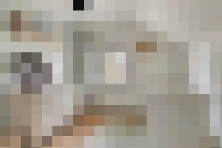 Holderbergsestraat 5 Kruisland thumbnail 47
