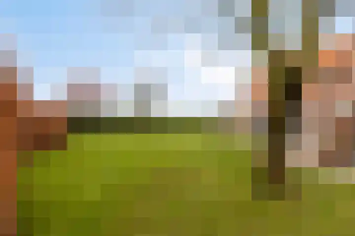 Holderbergsestraat 5 Kruisland thumbnail 58