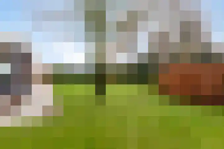 Holderbergsestraat 5 Kruisland thumbnail 59