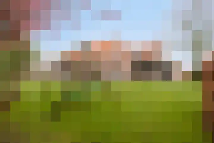 Holderbergsestraat 5 Kruisland thumbnail 60
