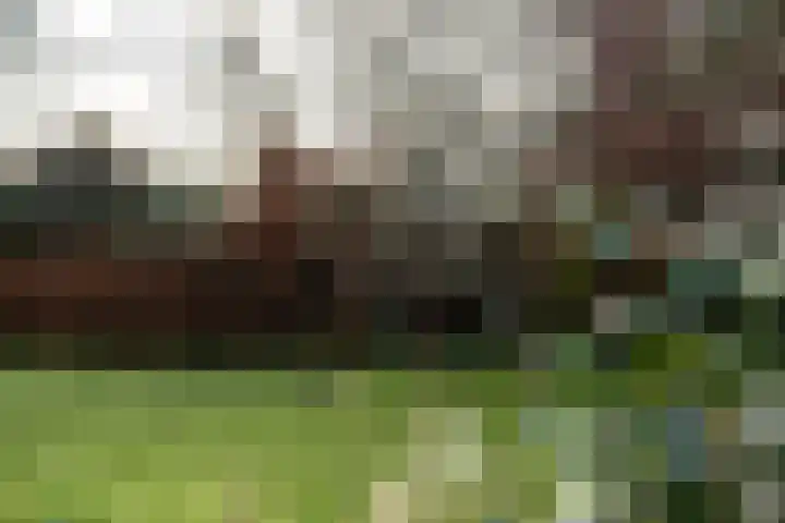 Holderbergsestraat 5 Kruisland thumbnail 61
