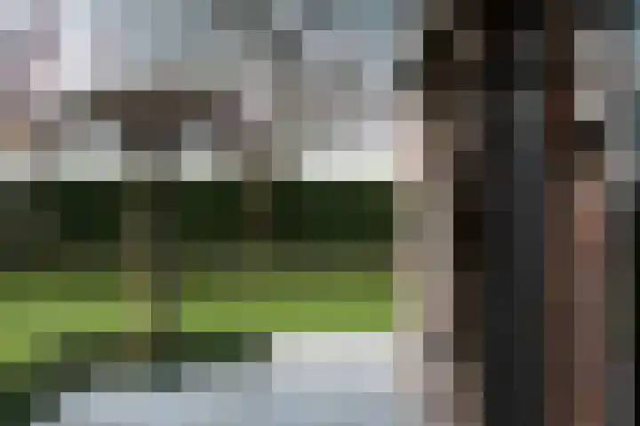 Holderbergsestraat 5 Kruisland thumbnail 62