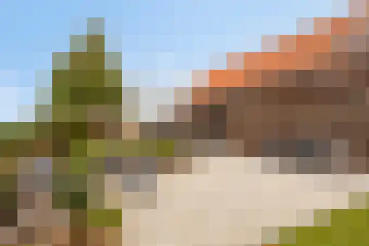 Holderbergsestraat 5 Kruisland thumbnail 66