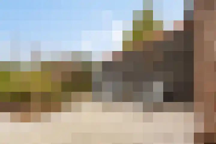 Holderbergsestraat 5 Kruisland thumbnail 68