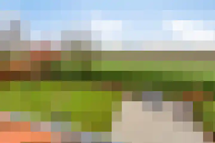 Holderbergsestraat 5 Kruisland thumbnail 69