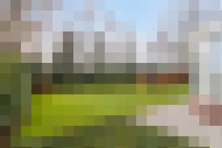 Holderbergsestraat 5 Kruisland thumbnail 70