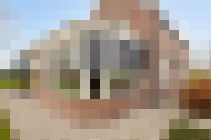 Holderbergsestraat 5 Kruisland thumbnail 71