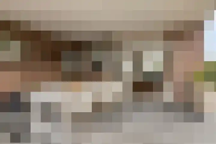 Holderbergsestraat 5 Kruisland thumbnail 72