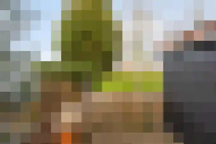Holderbergsestraat 5 Kruisland thumbnail 78