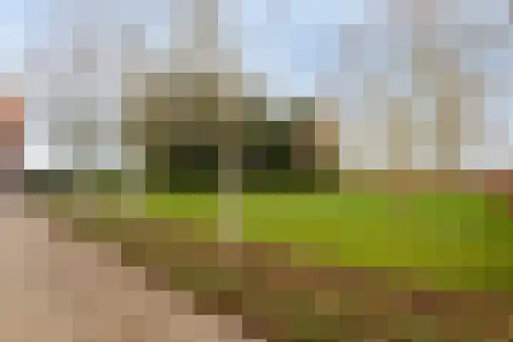 Holderbergsestraat 5 Kruisland thumbnail 80