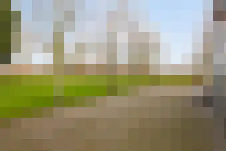 Holderbergsestraat 5 Kruisland thumbnail 81