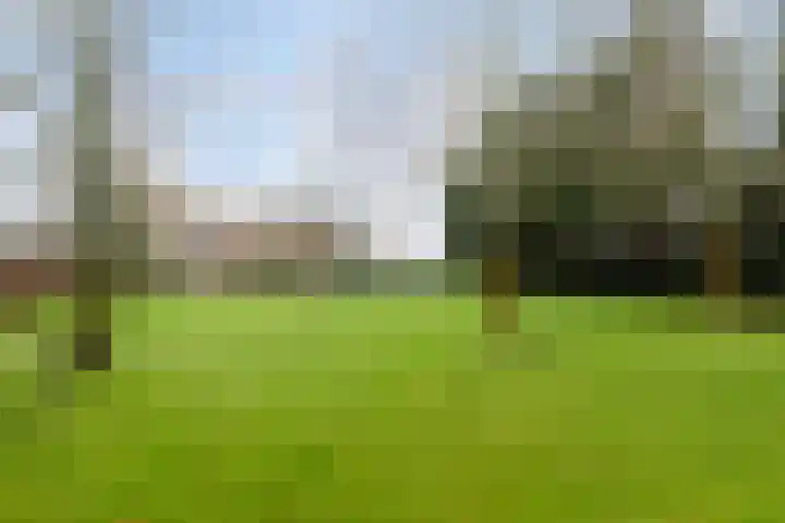 Holderbergsestraat 5 Kruisland thumbnail 82