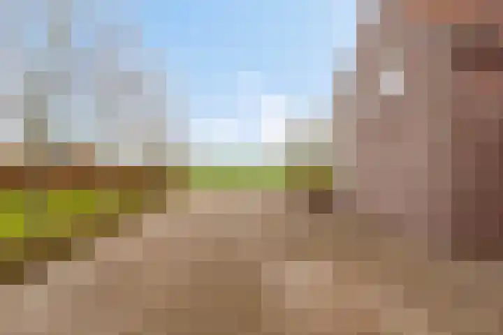 Holderbergsestraat 5 Kruisland thumbnail 88