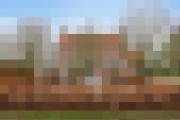 Holderbergsestraat 5 Kruisland thumbnail 95
