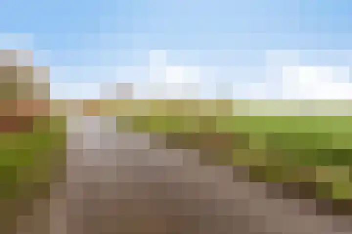 Holderbergsestraat 5 Kruisland thumbnail 99