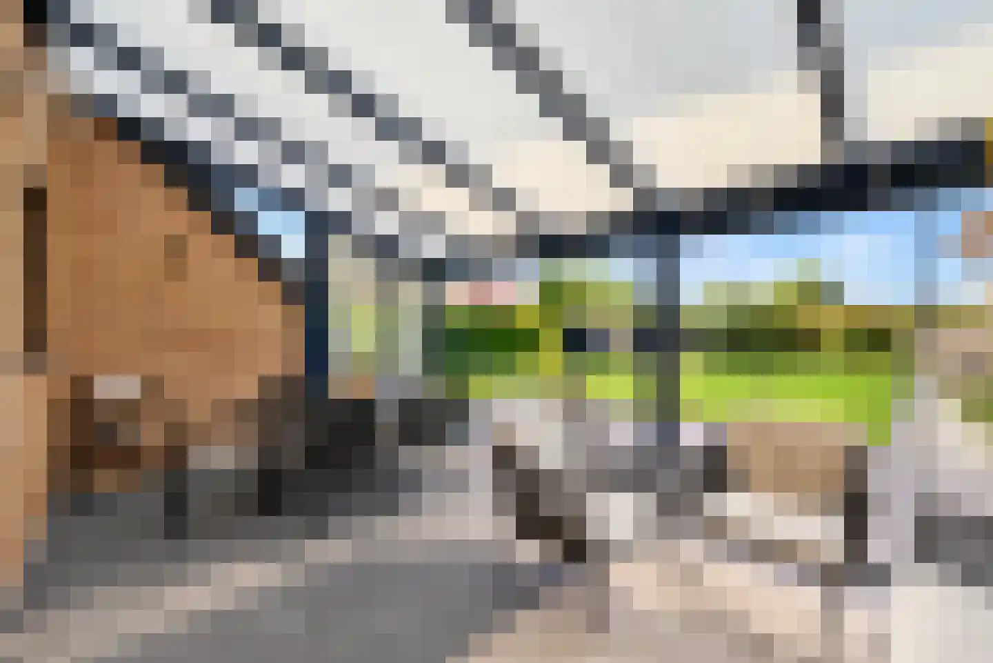 Holdert 39 Haulerwijk thumbnail 24