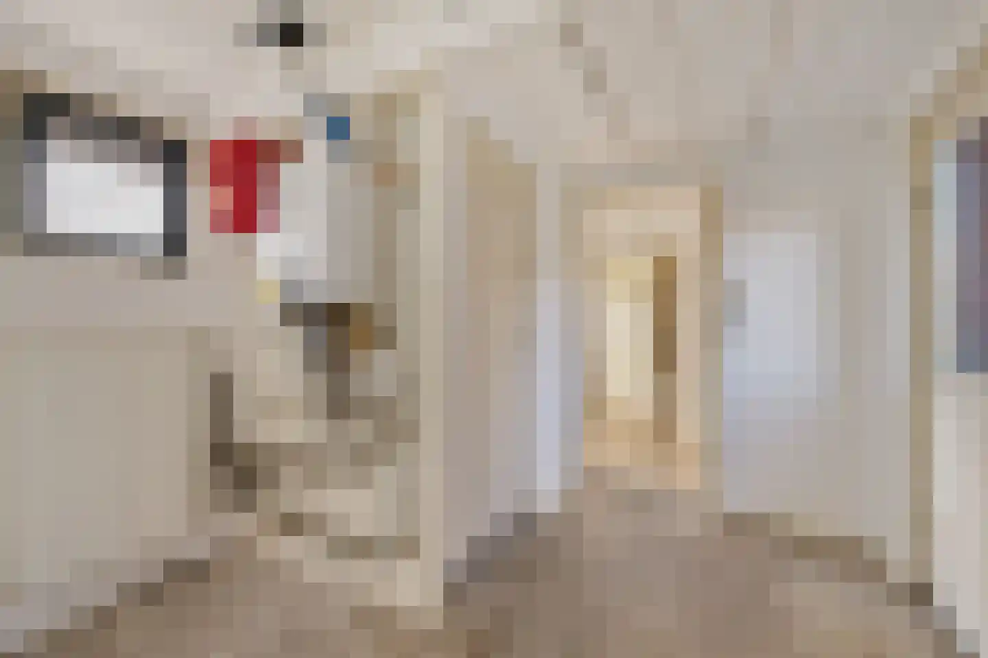 Holdingastrjitte 14 Eanjum thumbnail 14