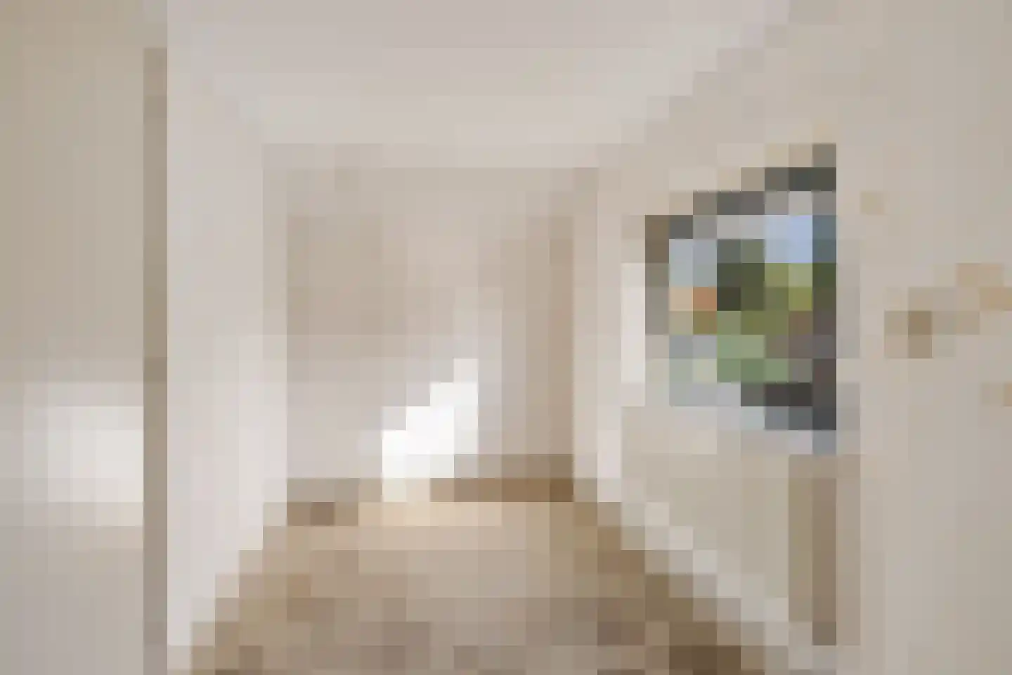 Holdingastrjitte 14 Eanjum thumbnail 19