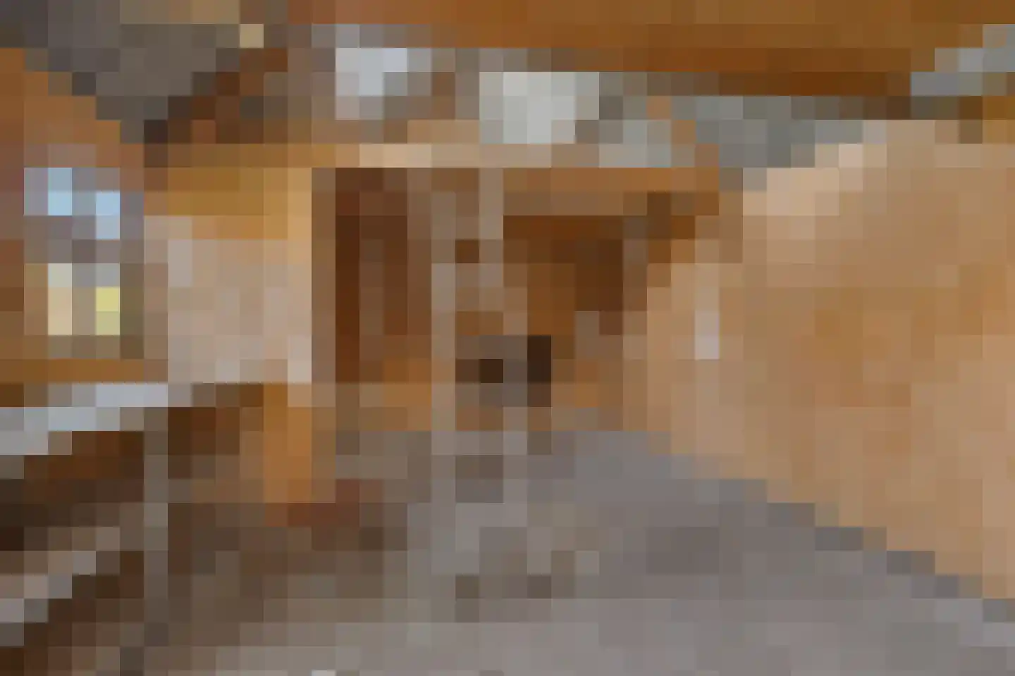 Holdingastrjitte 14 Eanjum thumbnail 22