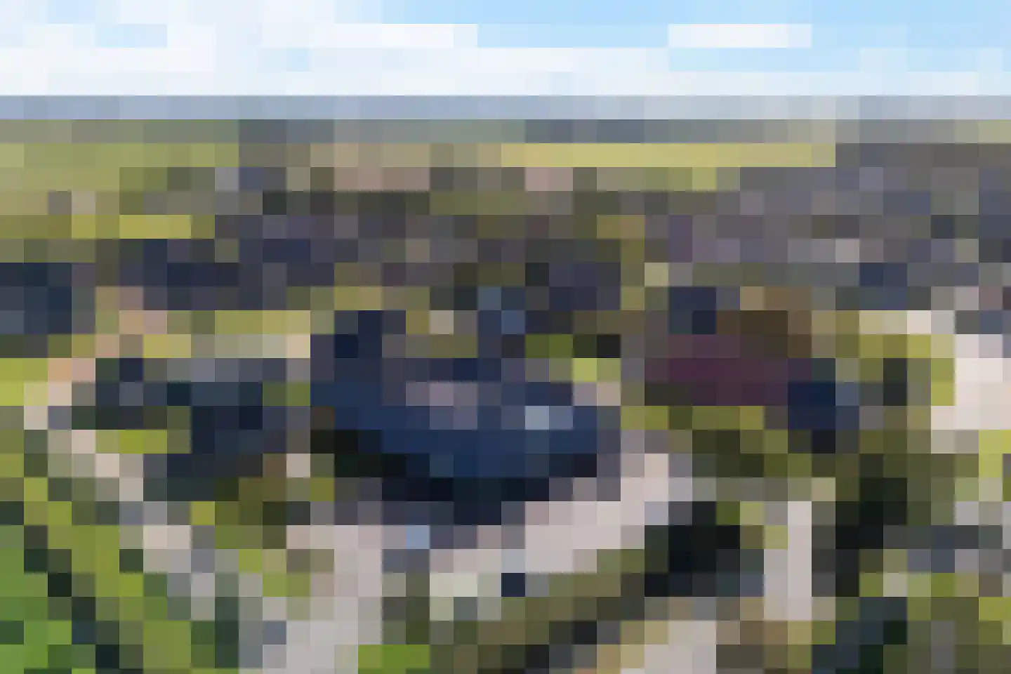 Holdingastrjitte 14 Eanjum thumbnail 27