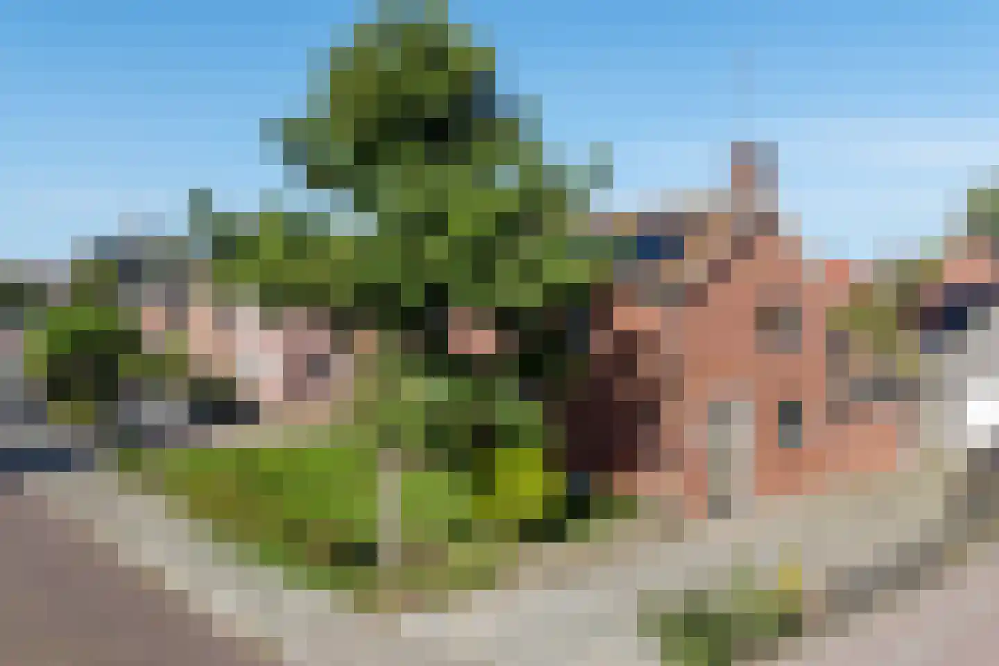 Holdingastrjitte 14 Eanjum thumbnail 5