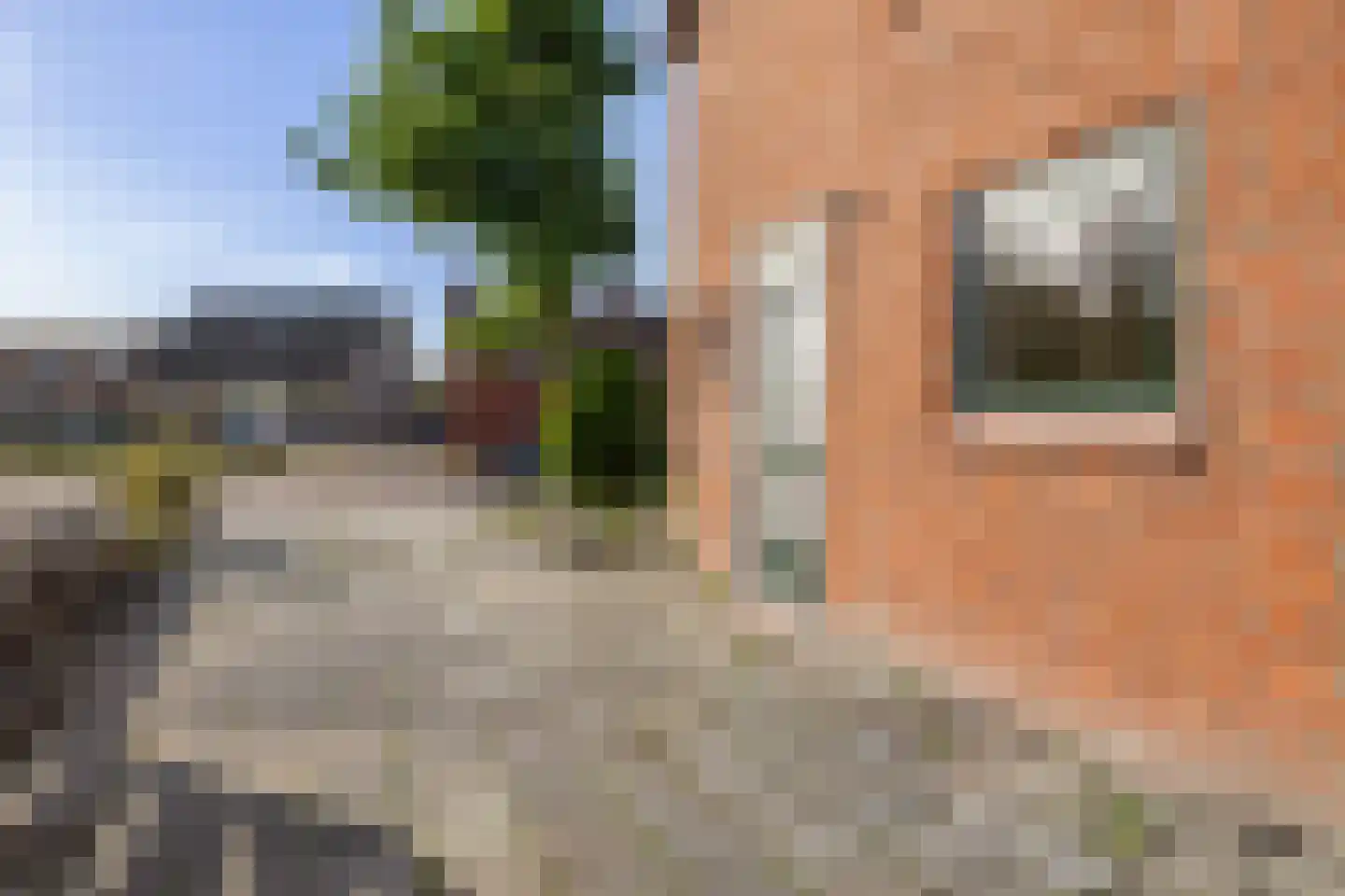 Holdingastrjitte 14 Eanjum thumbnail 6