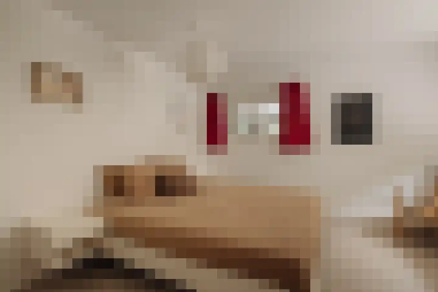Holendrechterweg 33 C Ouderkerk aan de Amstel thumbnail 30